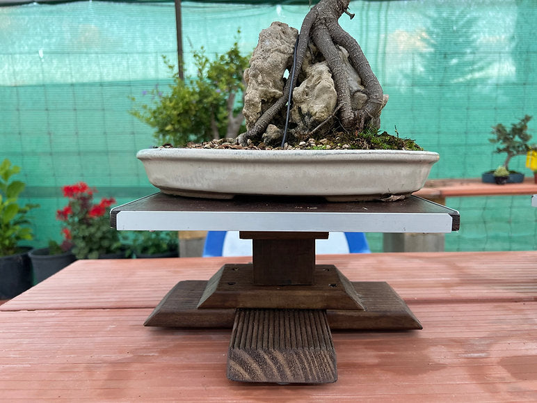 Torno artesano para Bonsai