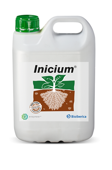 Inicium 500 ml