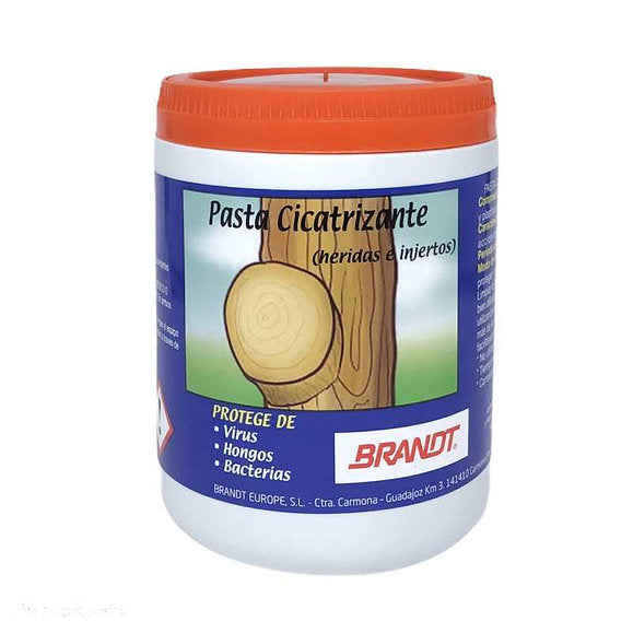 Pasta cicatrizante 200g