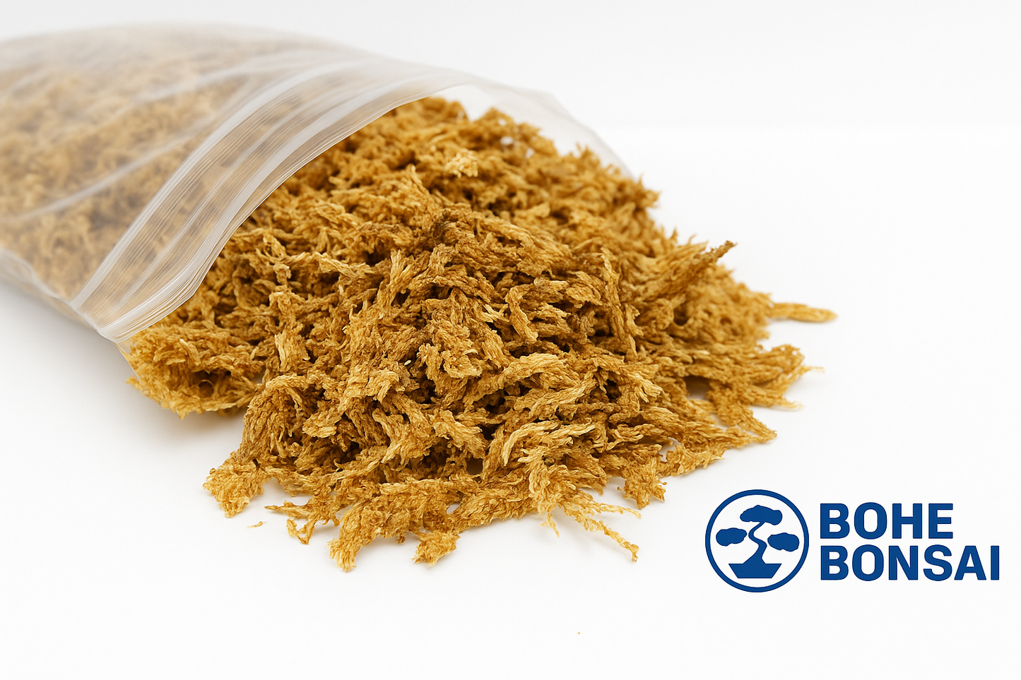 Musgo Sphagnum