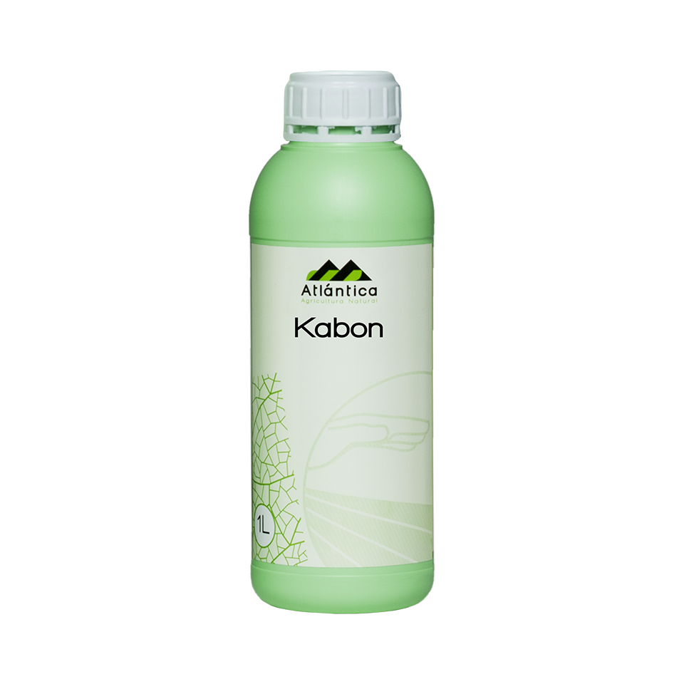 Kabon/Microcat Bon Eco Env. 1 Lt
