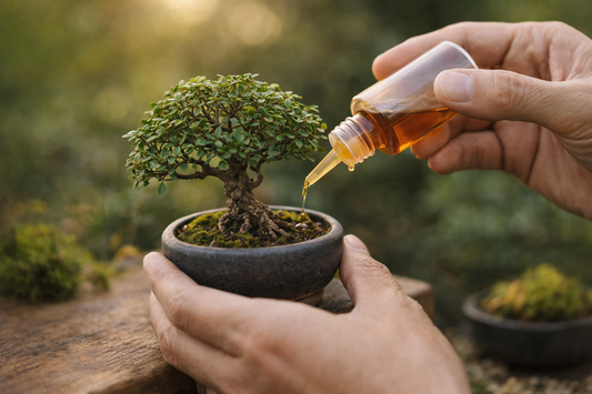 Lombrico Bonsai: guía completa de abonos y cuándo usar cada producto