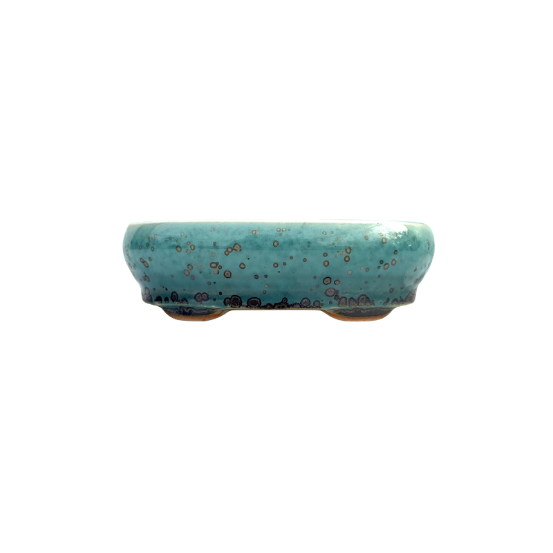 Maceta Bonsai Yixing YCG-086