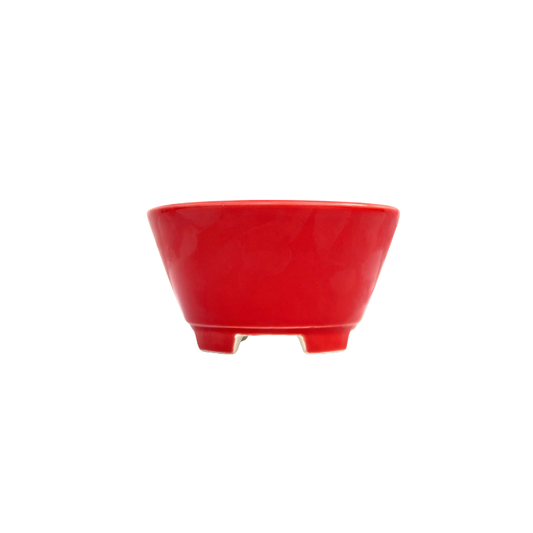 Maceta Bonsai Yixing YCG-093