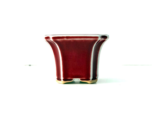 Maceta Bonsai Yixing YCG-026
