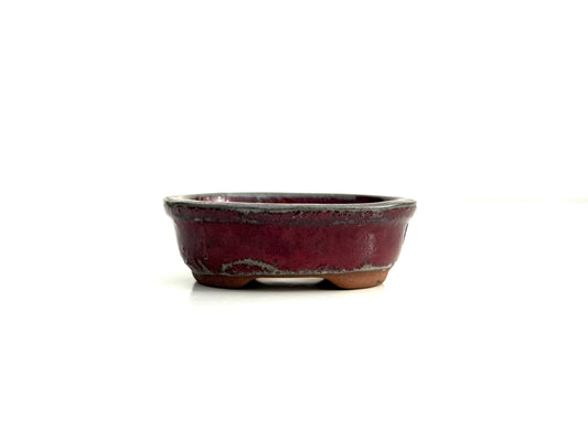 Maceta Bonsái Yixing MS-017-B
