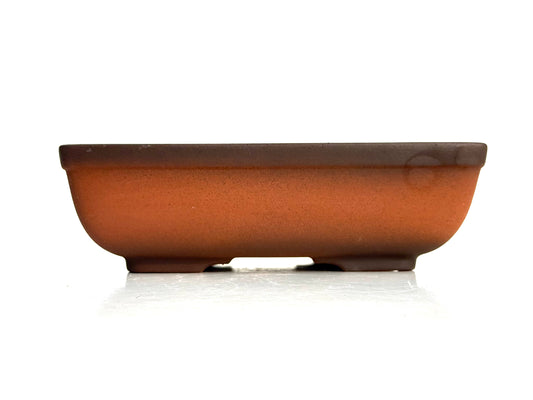 Maceta Bonsai Yixing BH-0543