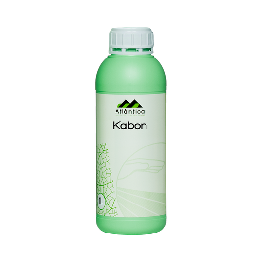 Kabon/Microcat Bon Eco Env. 1 Lt